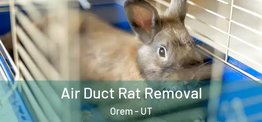 Air Duct Rat Removal Orem - UT