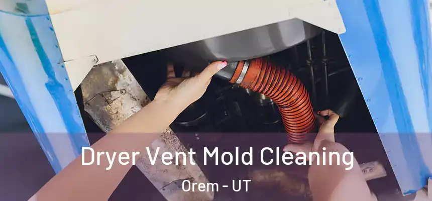 Dryer Vent Mold Cleaning Orem - UT