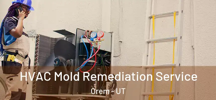 HVAC Mold Remediation Service Orem - UT