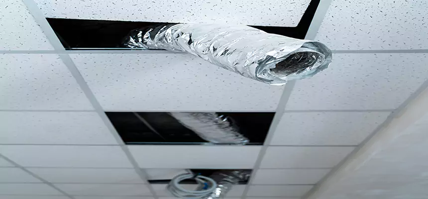 Our Air Duct Pet Hair Removal Services in Orem, UT