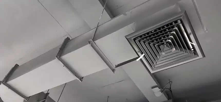 Our Pest Removal From Ducts Services in Orem, UT