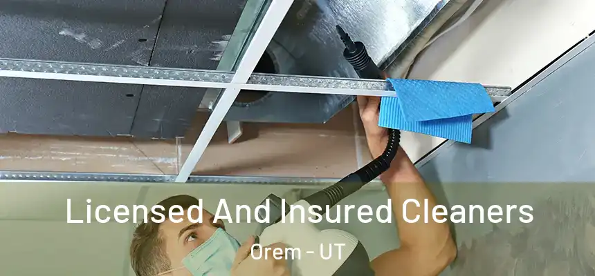 Licensed And Insured Cleaners Orem - UT