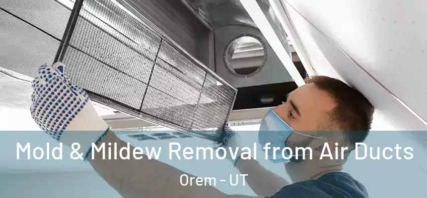  Mold & Mildew Removal from Air Ducts Orem - UT