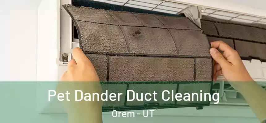 Pet Dander Duct Cleaning Orem - UT