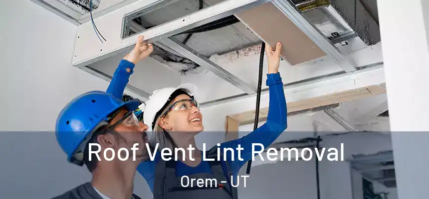 Roof Vent Lint Removal Orem - UT
