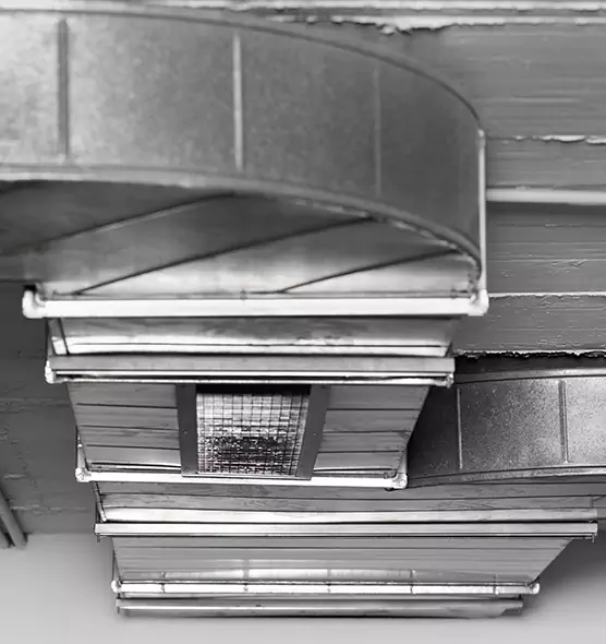 Professional Air Duct Pest Removal in Orem, UT