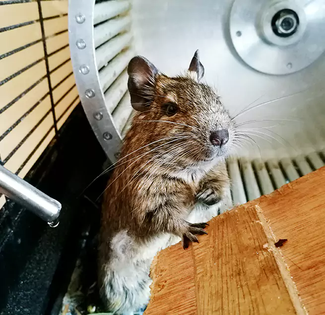 Why Homeowners & Businesses Trust Us Orem, UT